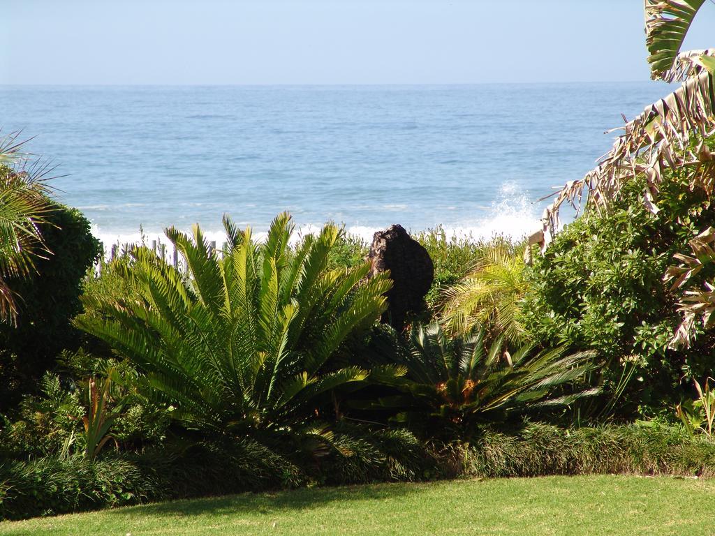 Diaz 15 House On The Bay Otel Jeffreys Bay Dış mekan fotoğraf